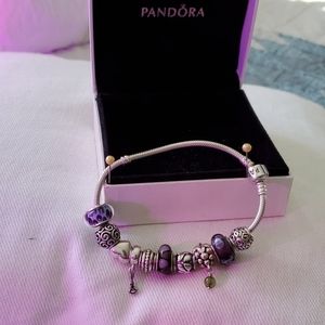Pandora charm bracelet